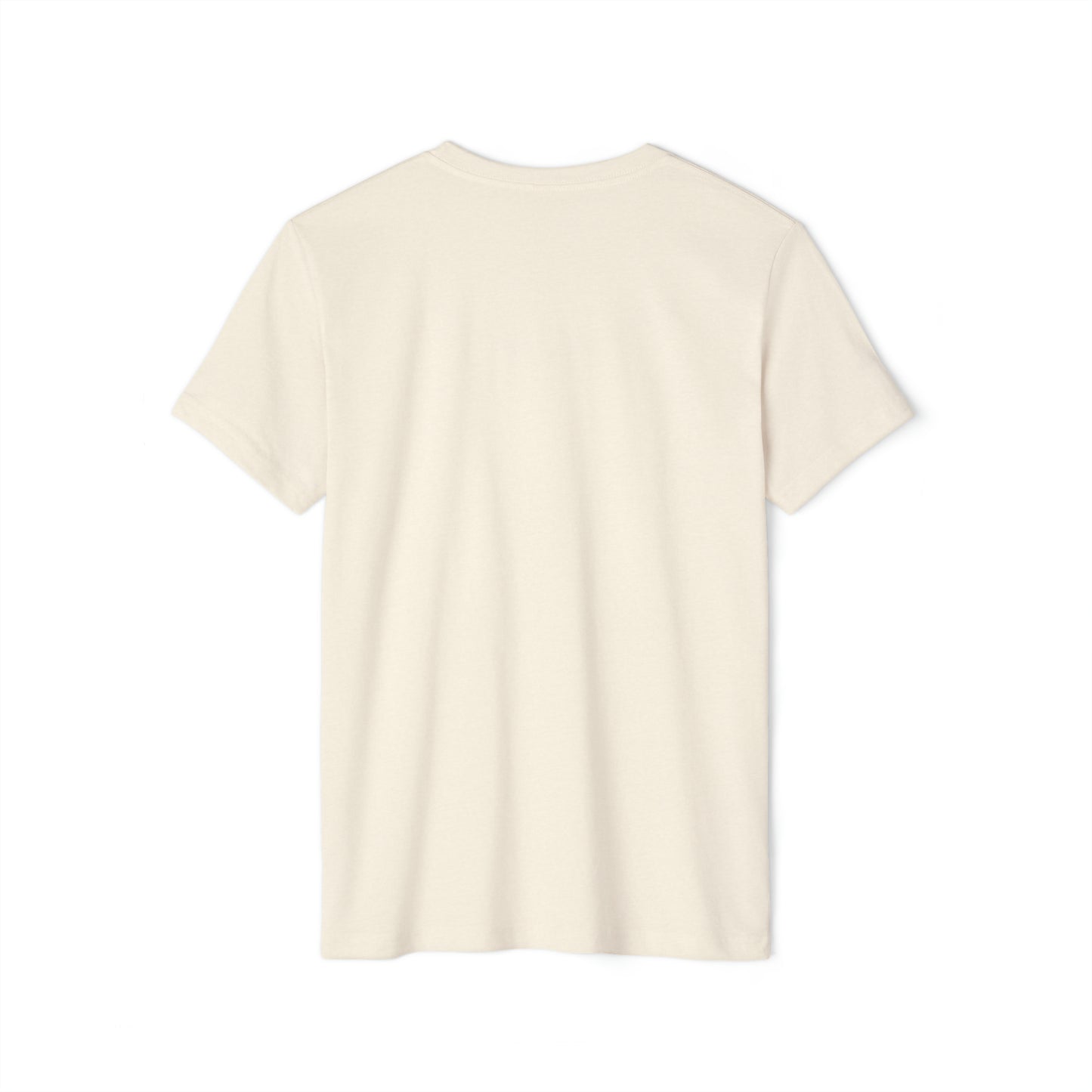 INSPIRED RAISE YOUR STANDARDS Unisex Recycled ORGANIC T-Shirt