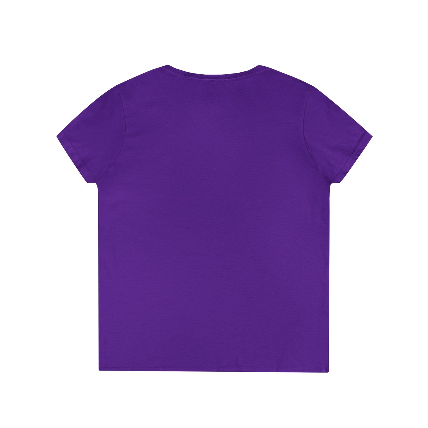 INSPIRED TRUTH SEEKER Ladies' V-Neck T-Shirt