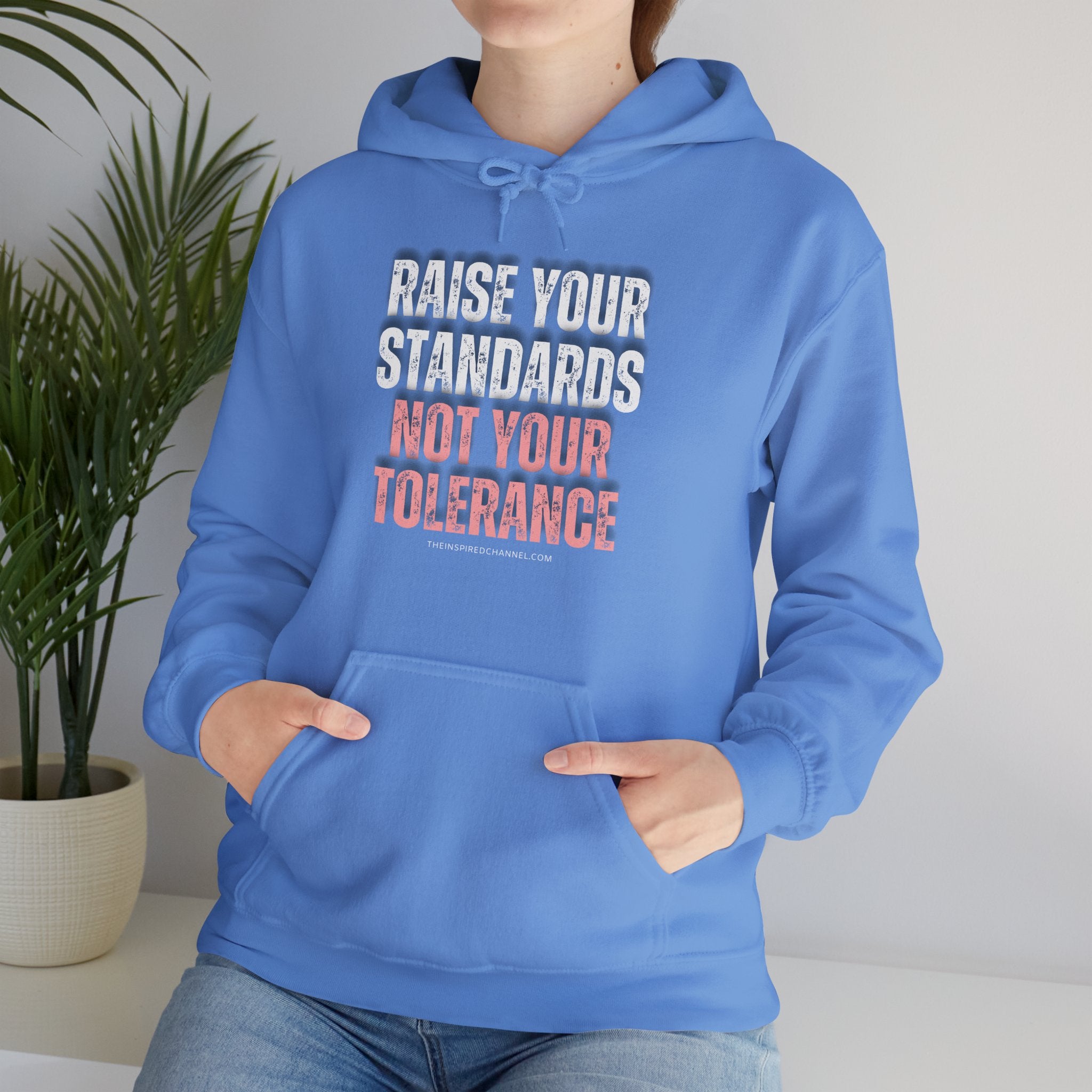 INSPIRED RAISE YOUR STANDARDS Unisex Heavy Blend™ Hooded Sweatshirt