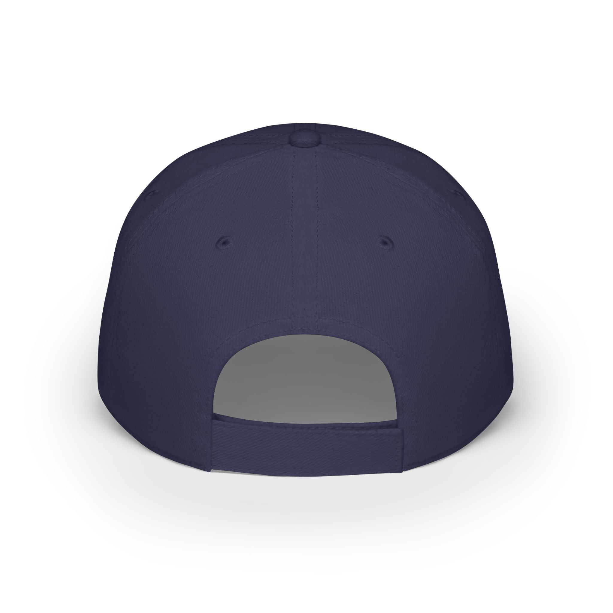 INSPIRED Raise Your Standards... Low Profile Baseball Cap