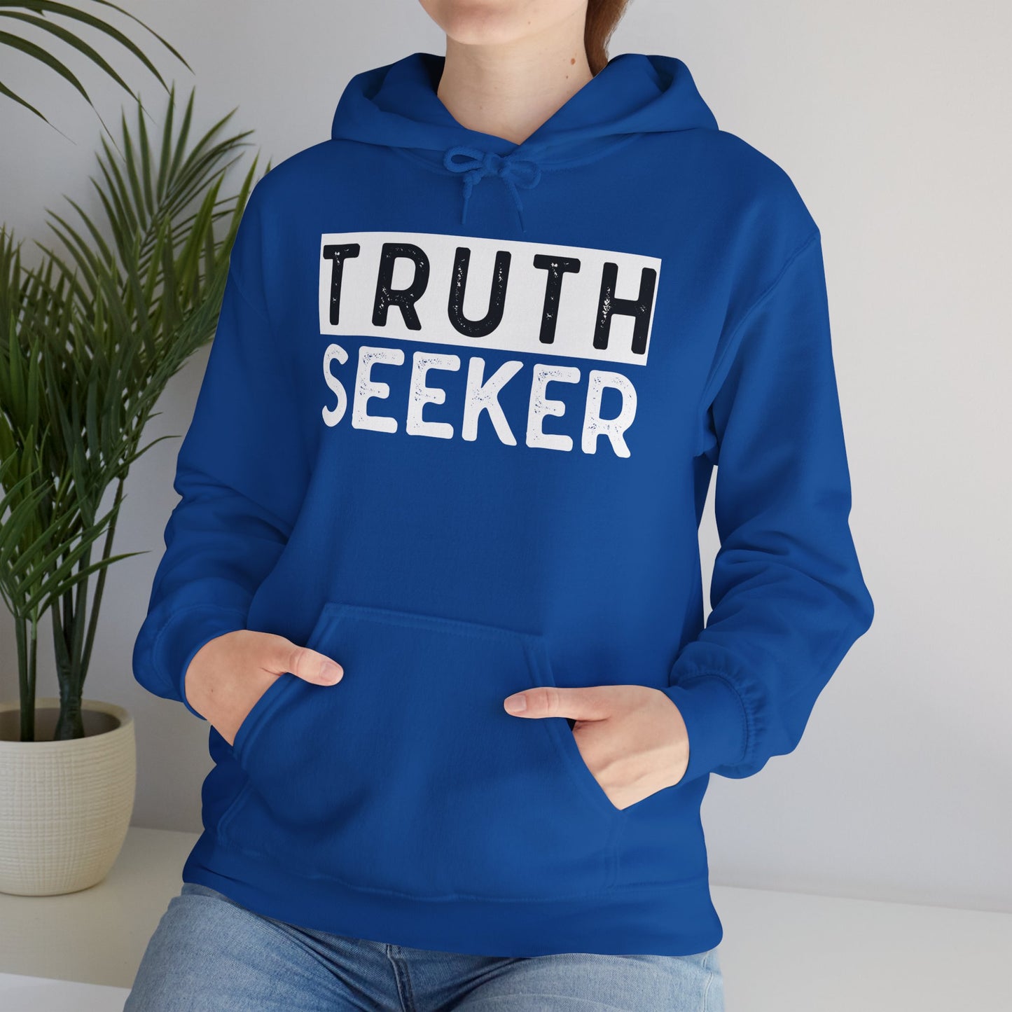 INSPIRED Truth Seeker UNISEX Heavy Blend Hooded Sweatshirt