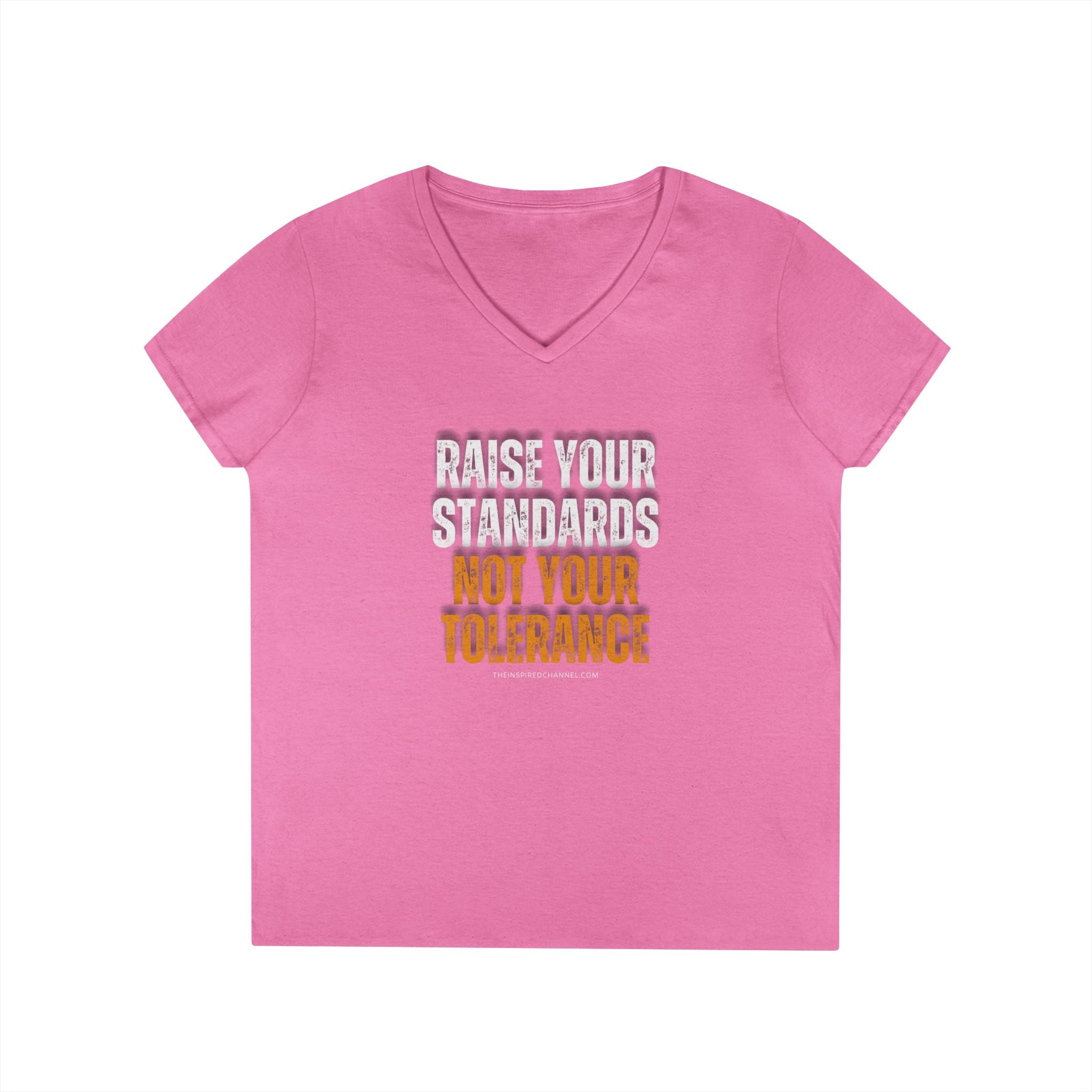 RAISE YOUR STANDARDS Ladies' V-Neck T-Shirt