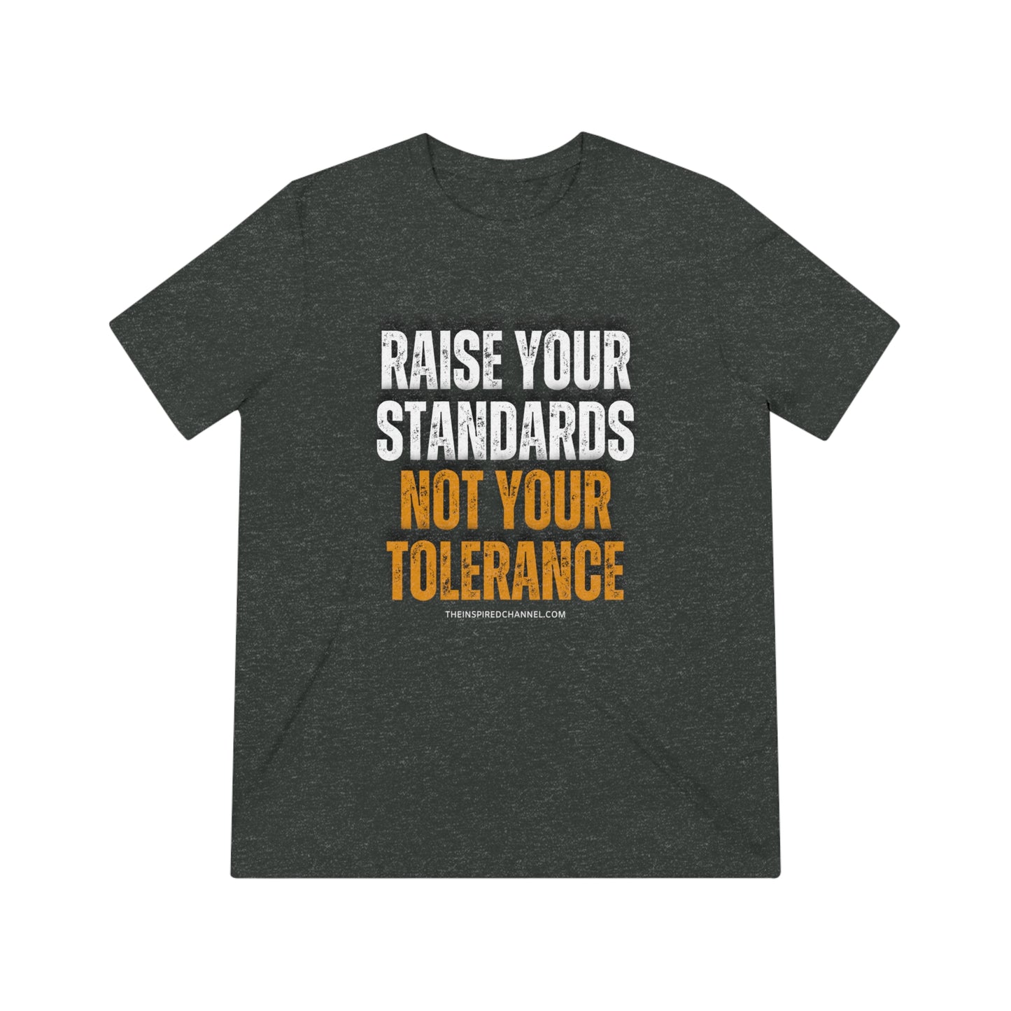 INSPIRED RAISE YOUR STANDARDS Unisex Triblend Tee