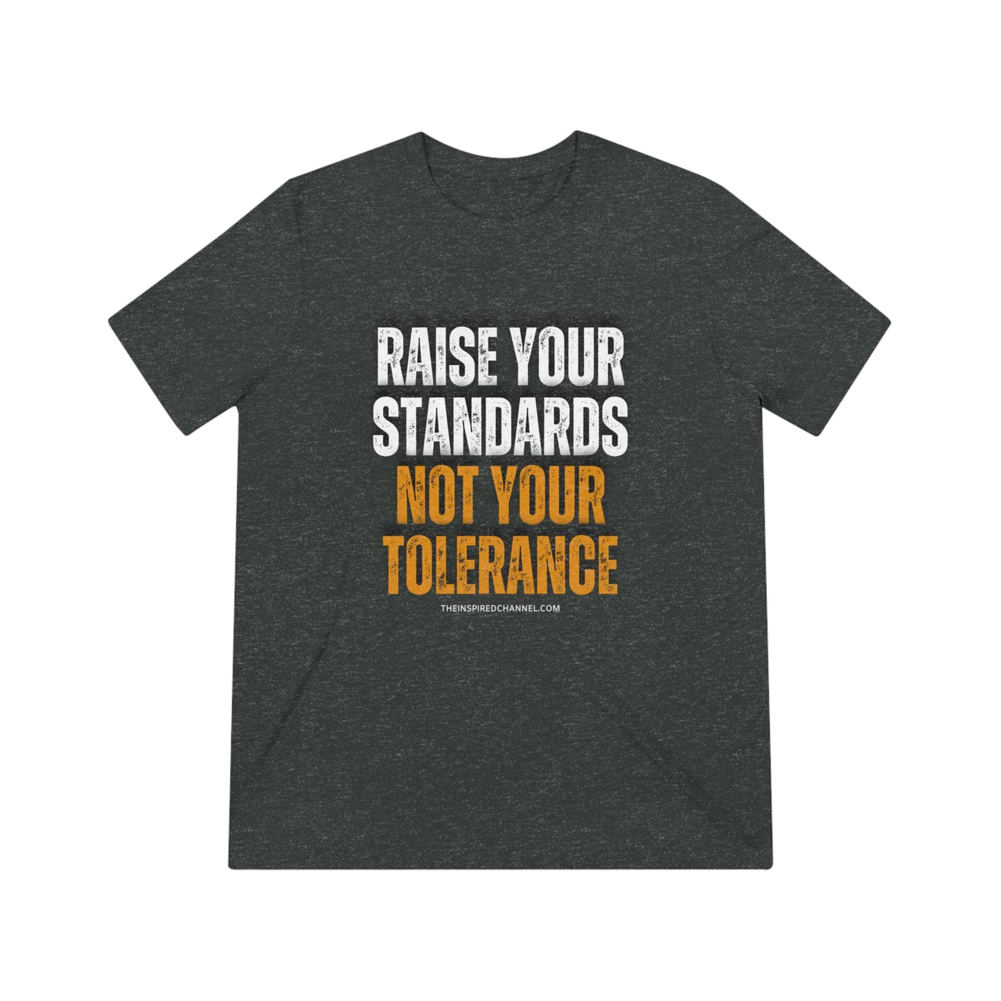 INSPIRED RAISE YOUR STANDARDS UNISEX Triblend Tee