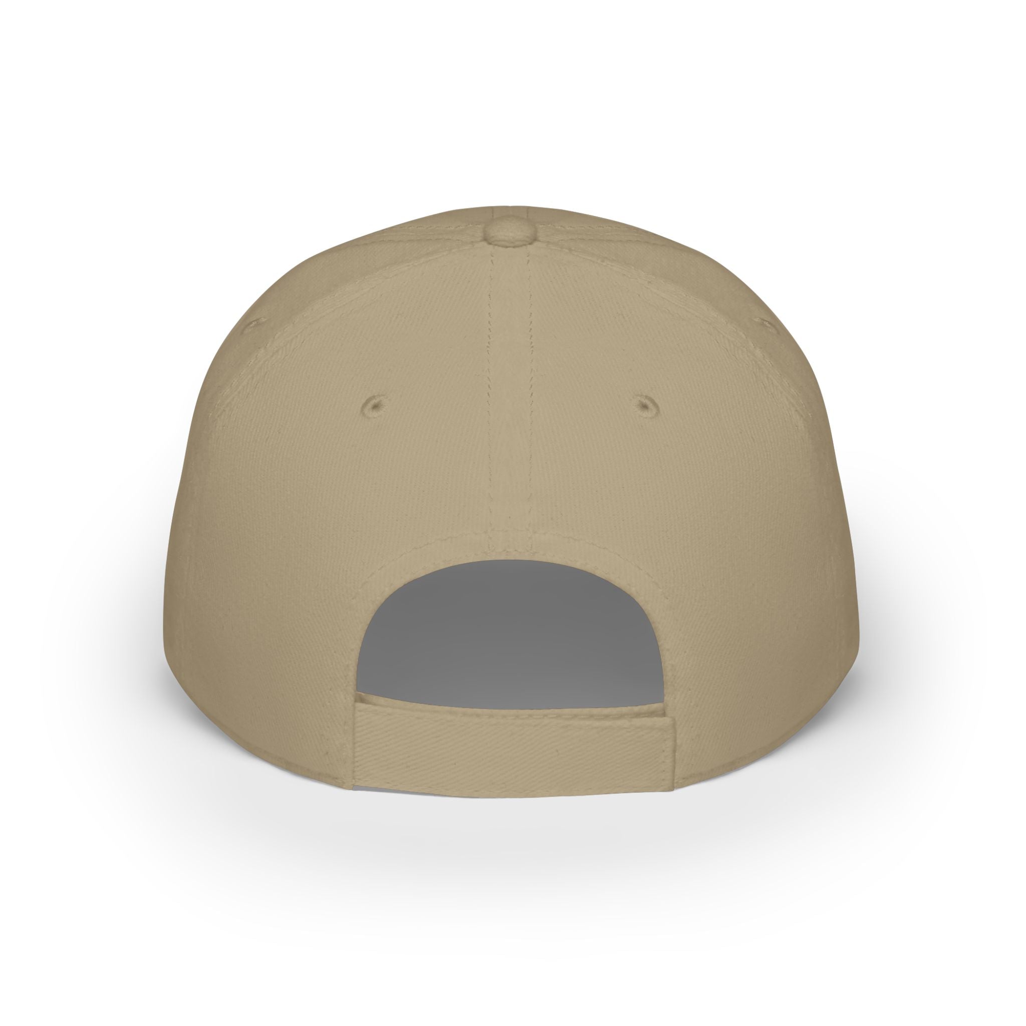 INSPIRED TRUTH SEEKER Low Profile Baseball Cap