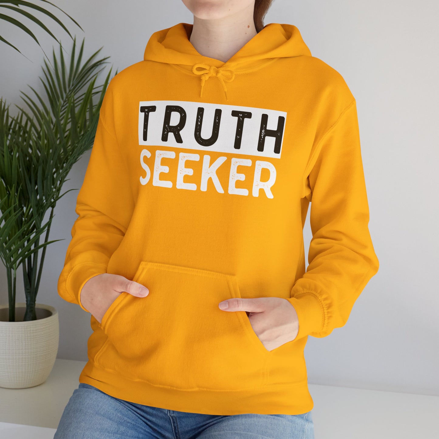 INSPIRED Truth Seeker UNISEX Heavy Blend Hooded Sweatshirt
