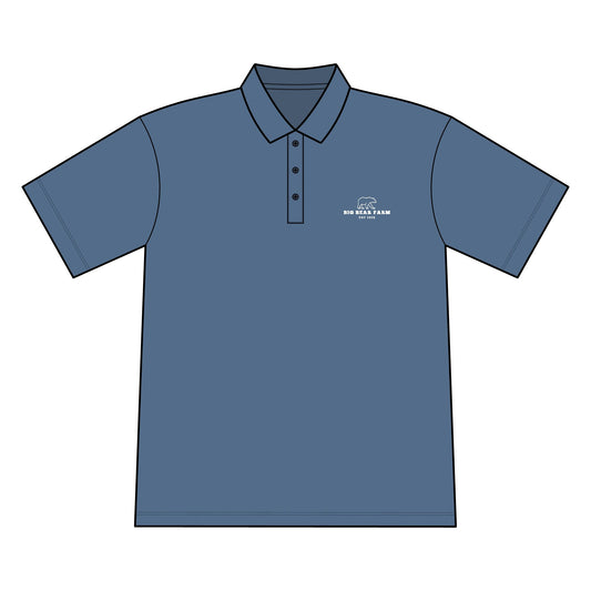 INSPIRED BIG BEAR Men's Classic Embroidered Polo