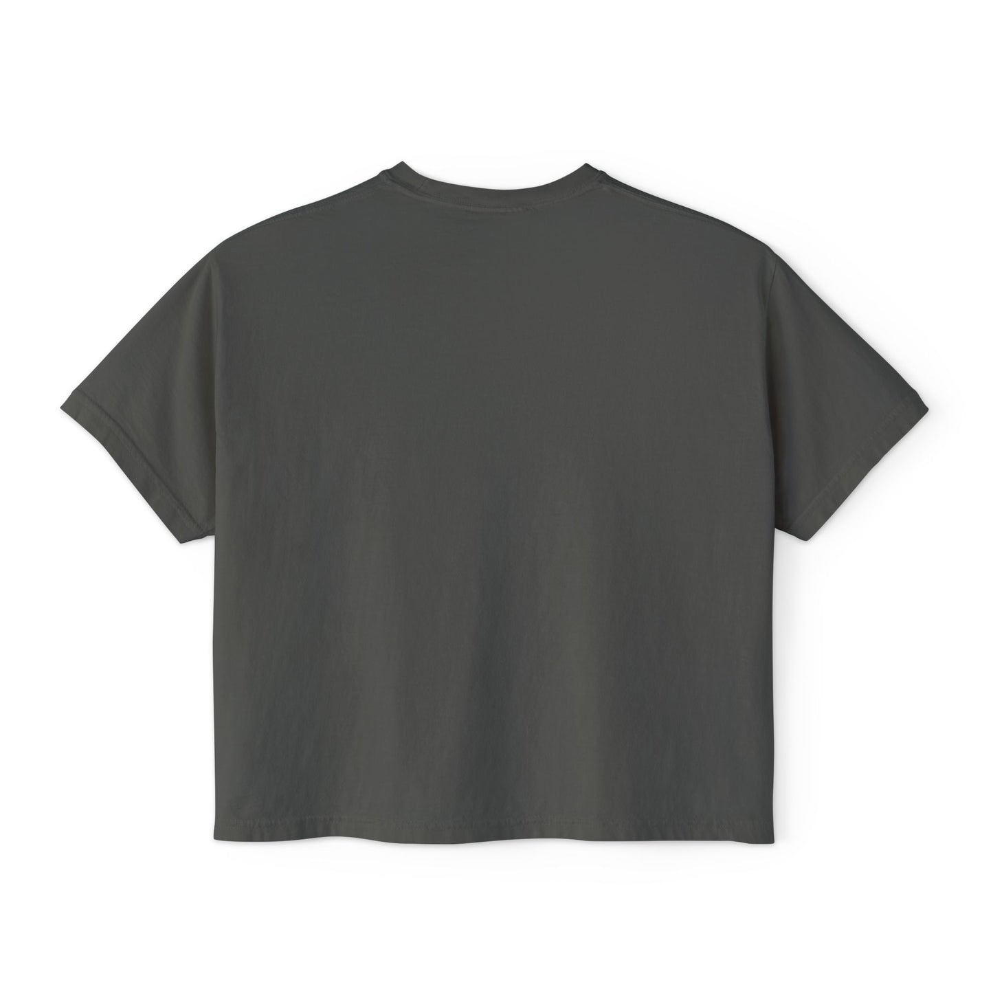 INSPIRED Big Bear Farm Women's Boxy Tee — Minimal Rustic Bear Logo, Est. 2025