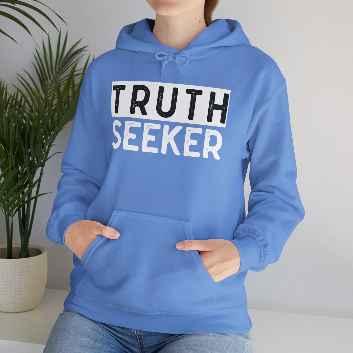INSPIRED Truth Seeker UNISEX Heavy Blend Hooded Sweatshirt